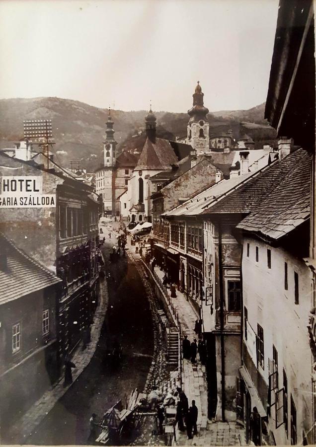 Penzion Rozalia Banská Štiavnica المظهر الخارجي الصورة